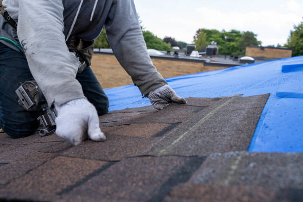 Fast & Reliable Emergency Roof Repairs in Norlina, NC